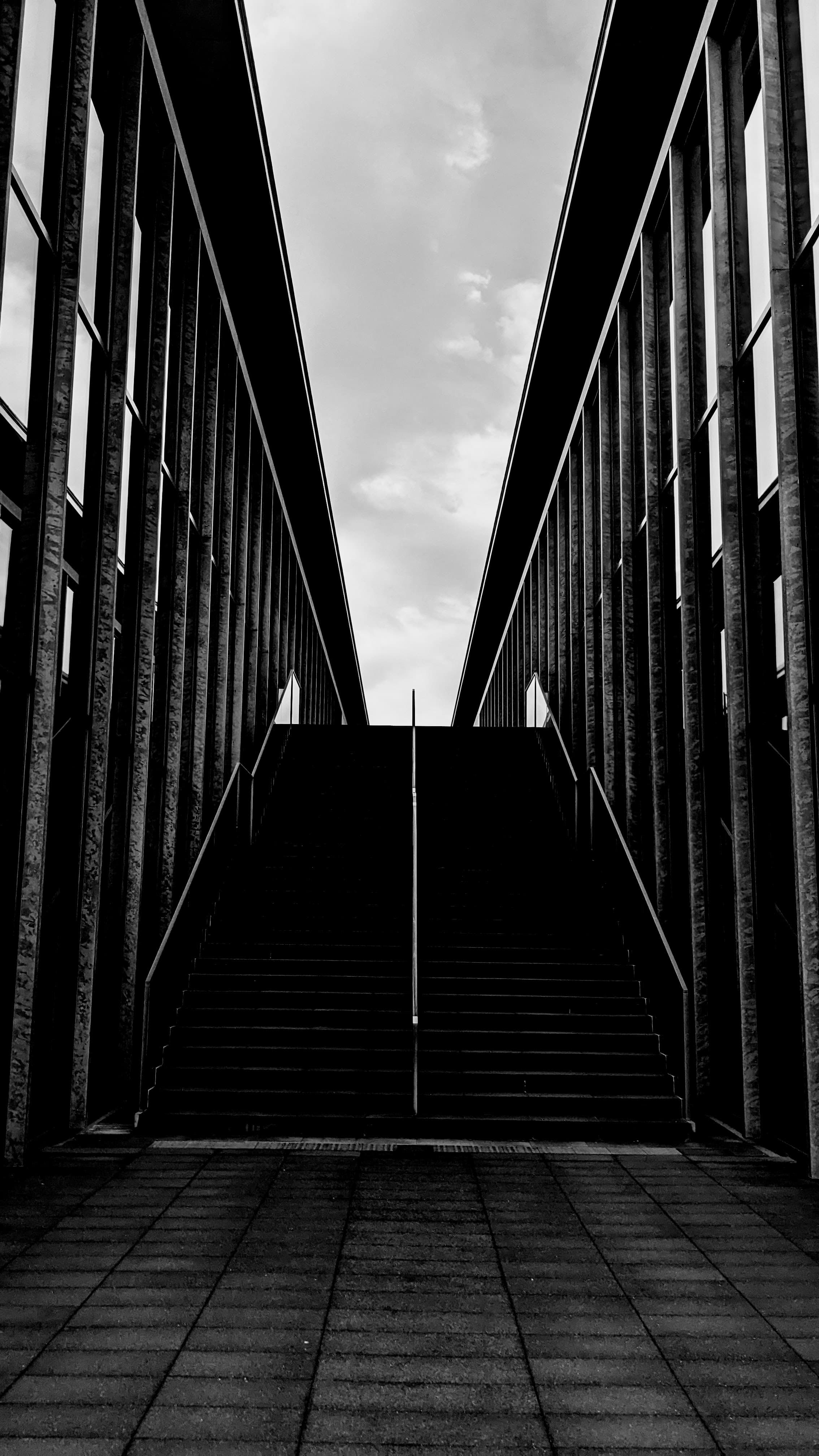 contrast1