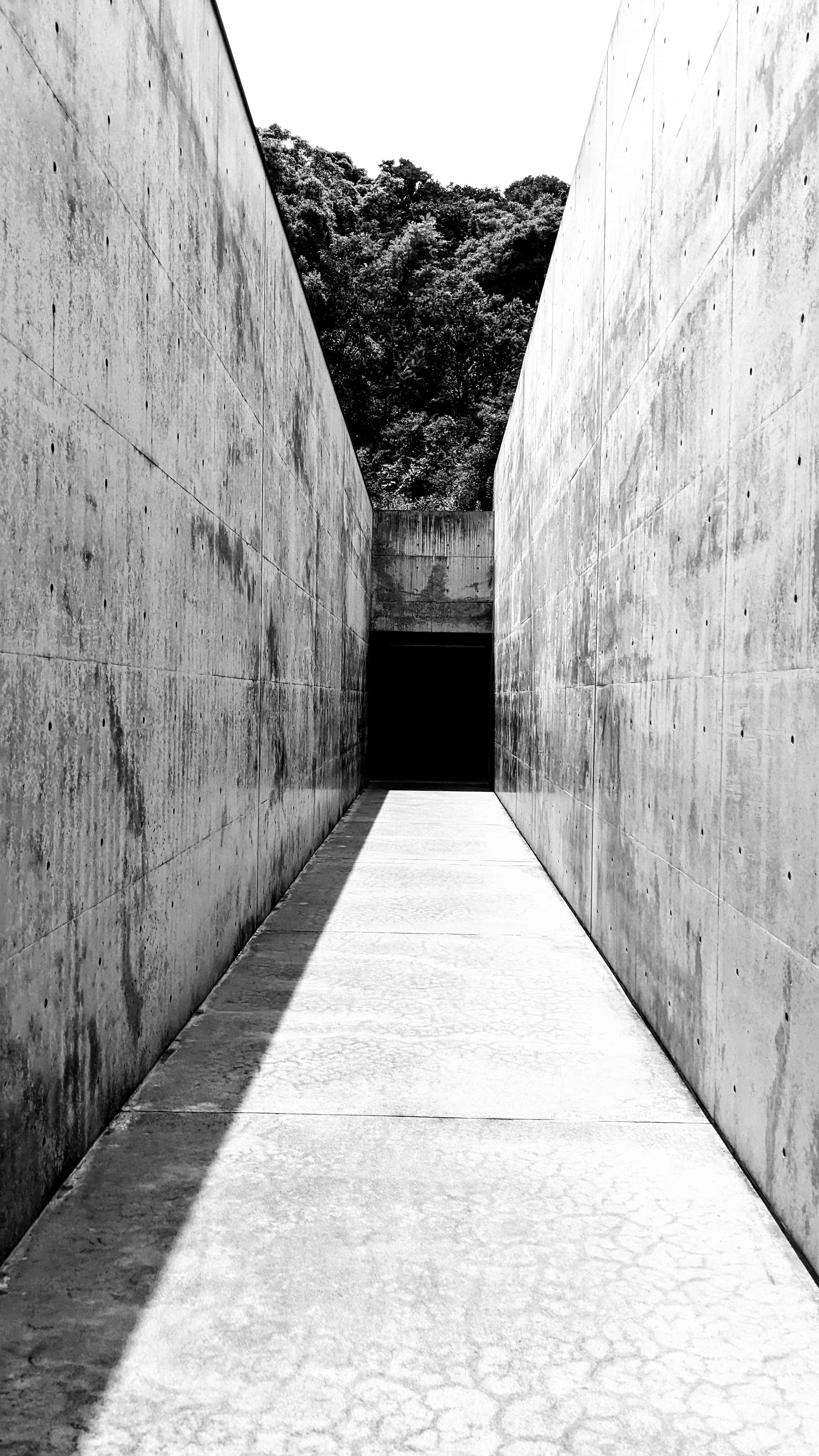 contrast1