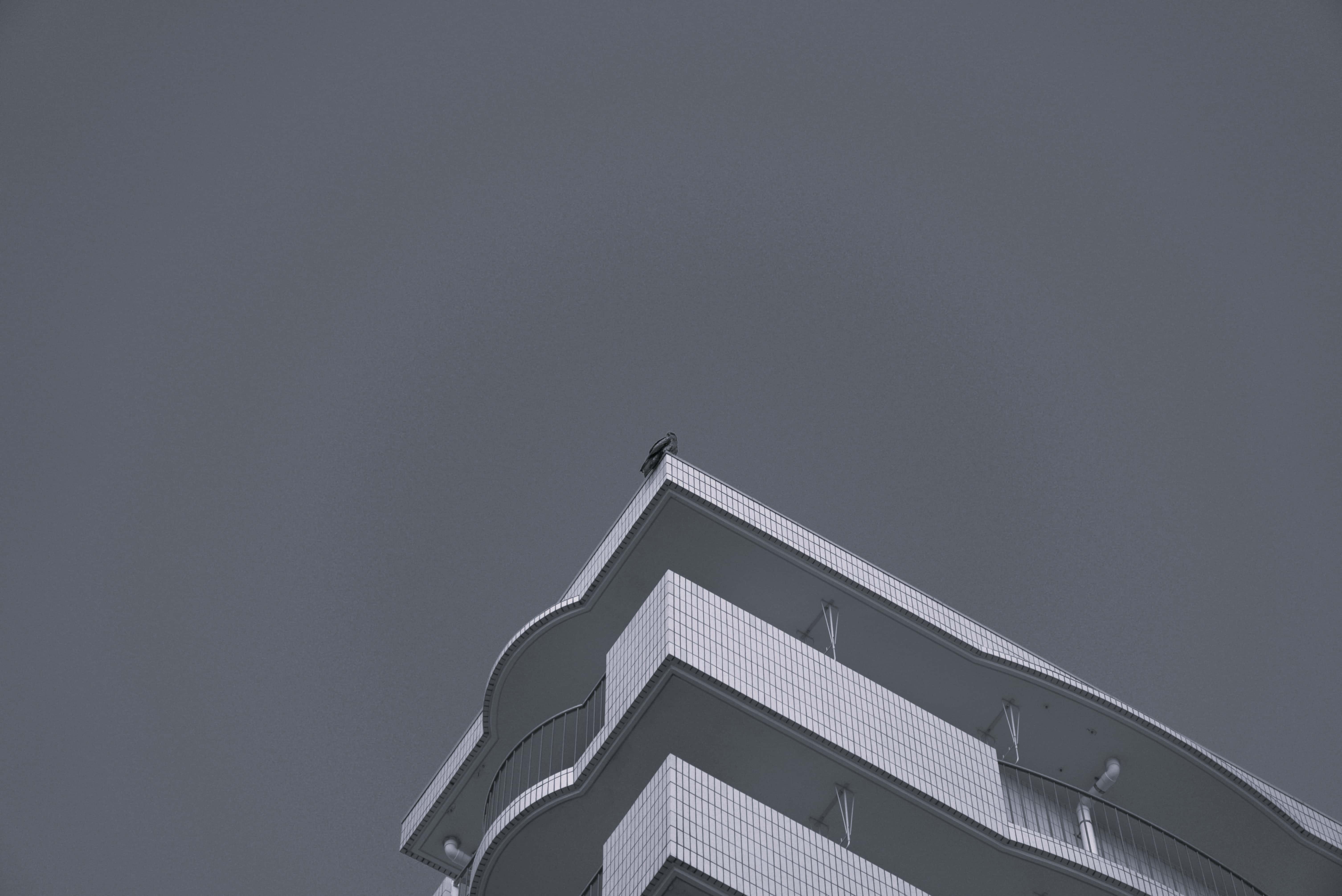 contrast1