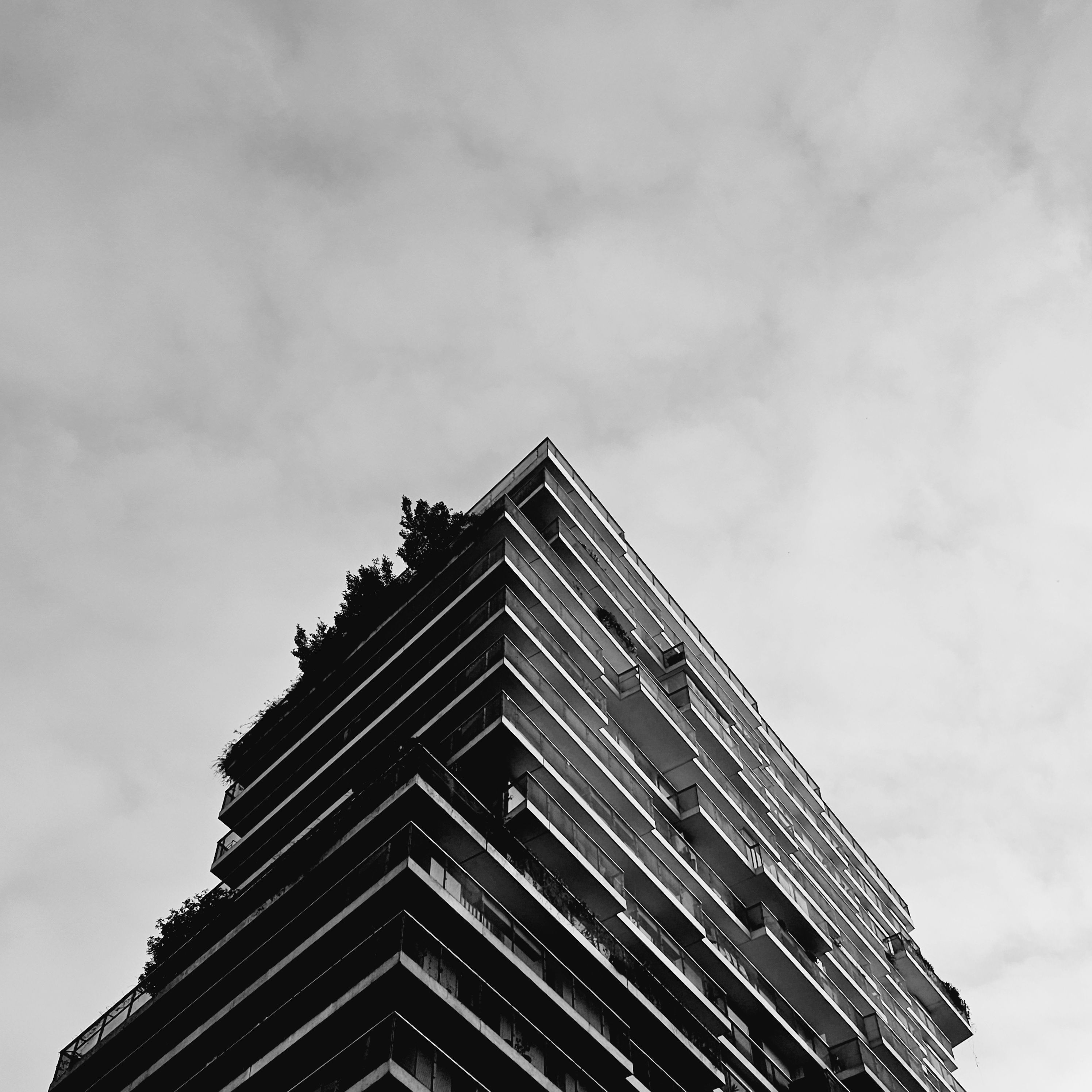 contrast1